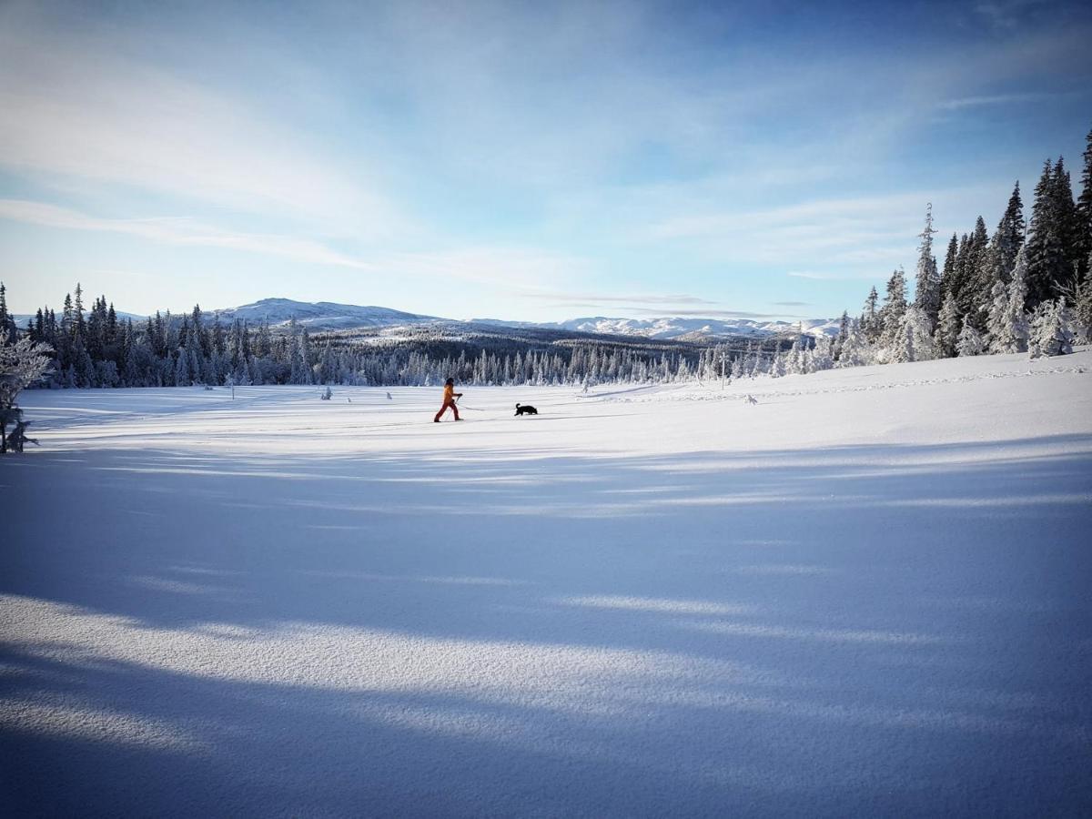 Koeja Fjaellhotell Edsasdalen Eksteriør billede