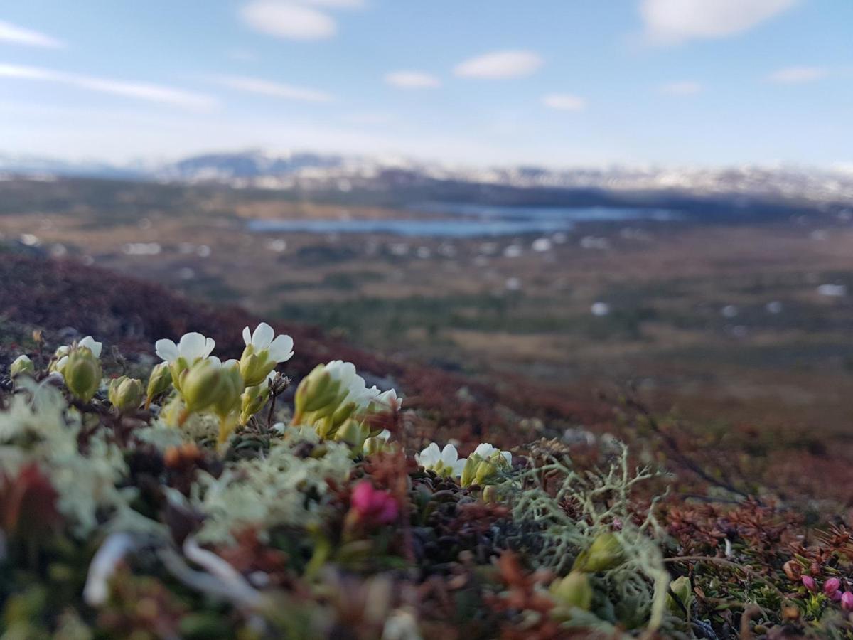 Koeja Fjaellhotell Edsasdalen Eksteriør billede